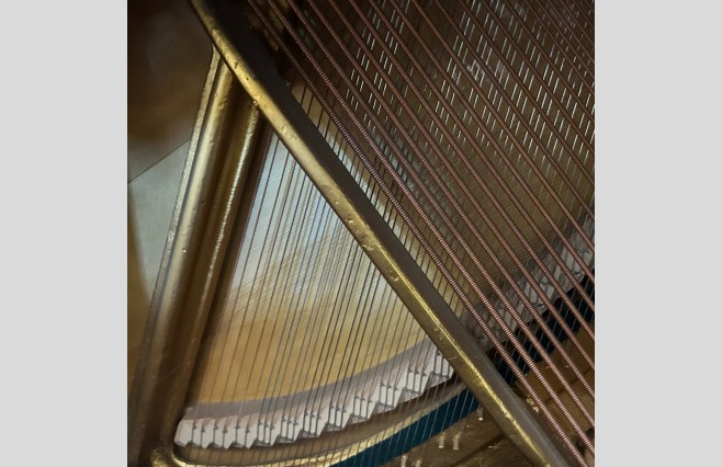 John Broadwood & Sons Polished Ebony Upright Piano, Used - All Inclusive Premium Package (SN:266678) - Image 12